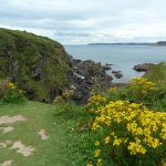 The view of the sea from a cliff.