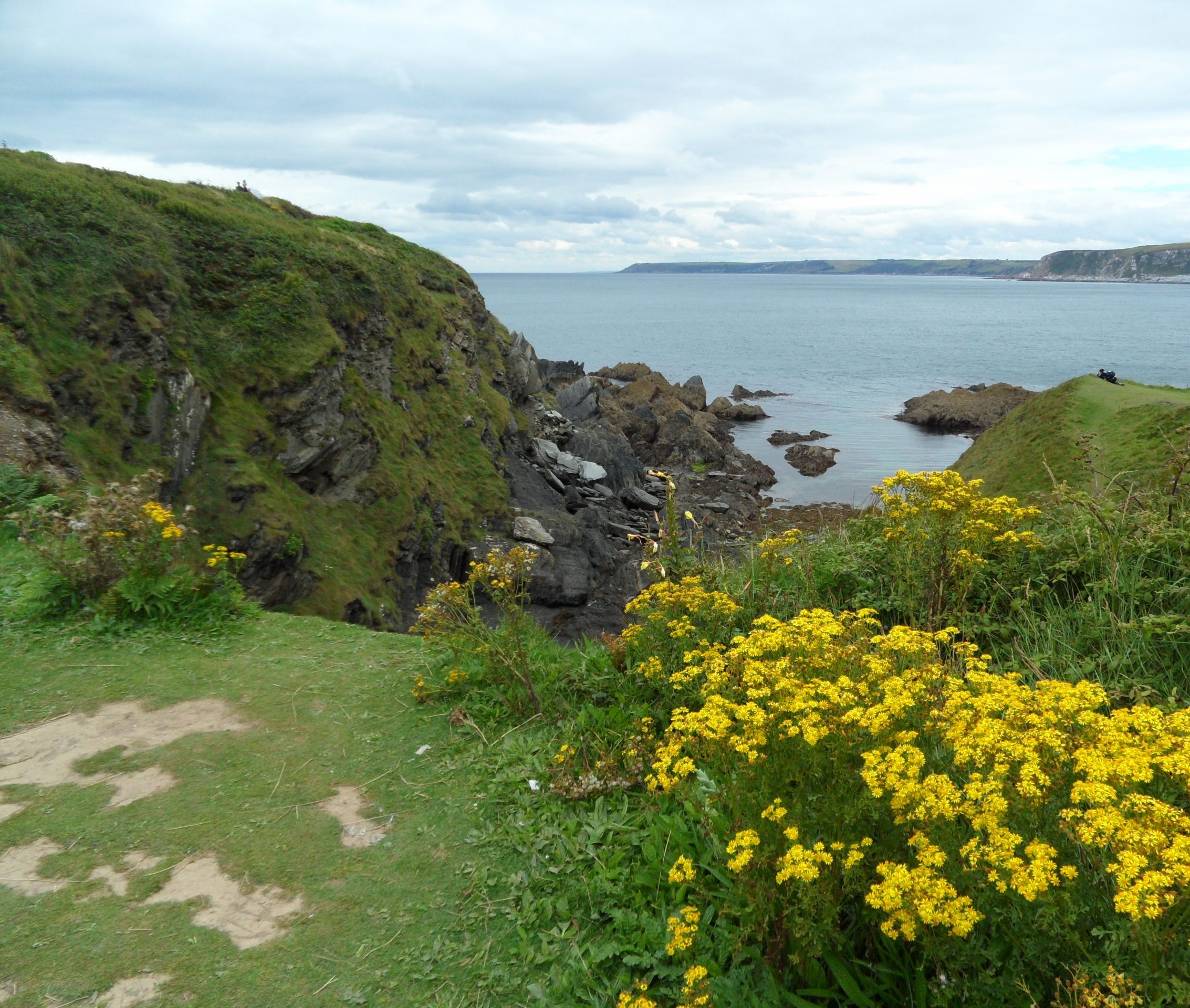 Copy with a Cause: Coming Spring/Summer 2026!